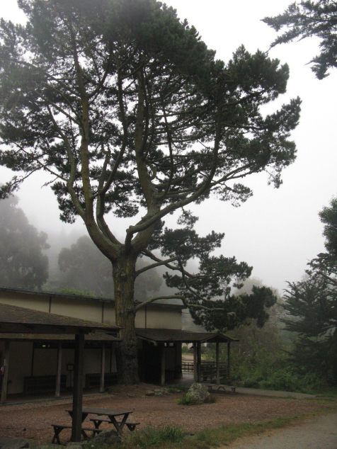 175781_2461793105940_1285585001_3001563_2009598133_o